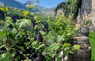 Agriturismo Orrido di Pino - Foto 60