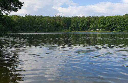 Dom Wakacyjny Wojnówko - Foto 6