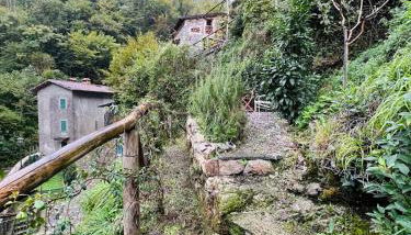 Casa Alamanda - Foto 2