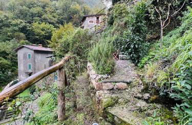 Casa Alamanda - Foto 2