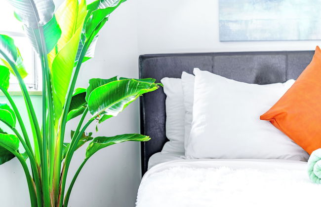 Jungle House Modern Lofts – Arena District & Short North - Foto 15