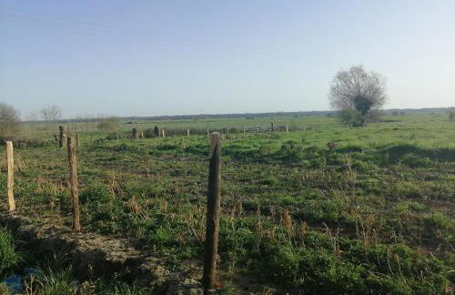 Normandieheritage14 COTTAGE DU MARAIS DDAY OMAHA BEACH - Foto 32