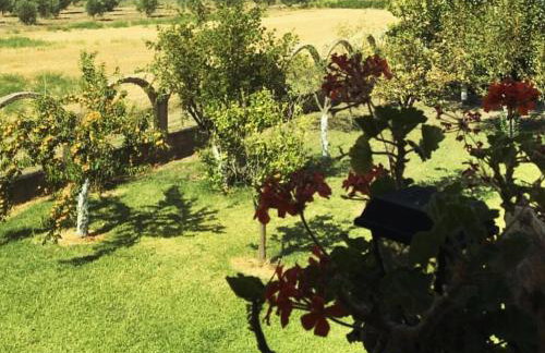 Villa Marlen - Foto 31