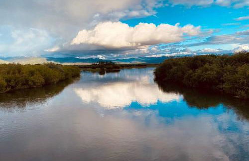Bear Lair at Teton Valley Idaho - Foto 20