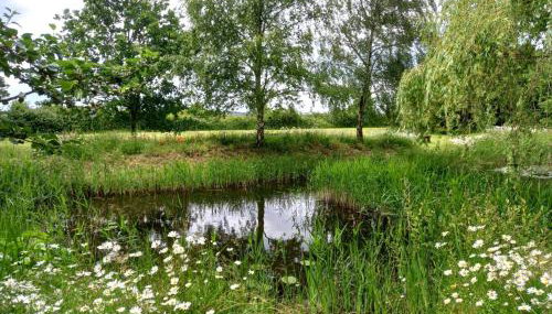 Rustic Retreat Guest Lodge - Foto 4