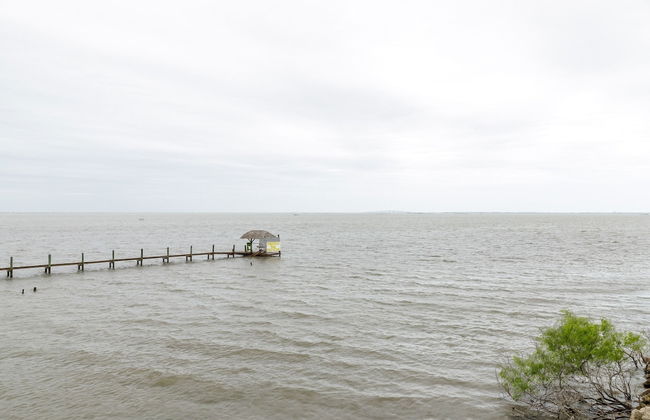 Fins and Feathers by Avantstay Waterfront Dock - Foto 37
