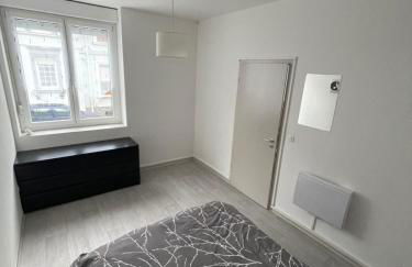 Superbe appartement rénové au centre de Forbach - Foto 6