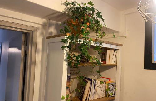 Appartement les Terrasses - Foto 5