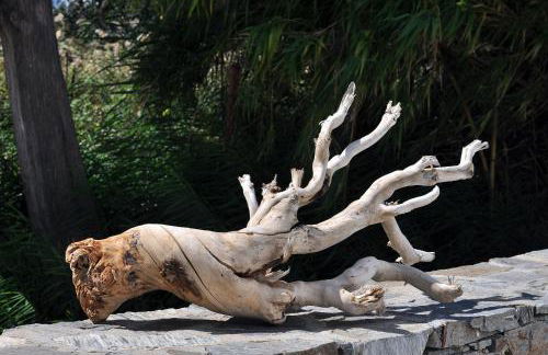 Aliktypo Studios - Foto 17