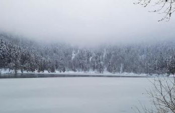 Résidence Vologne - Foto 19