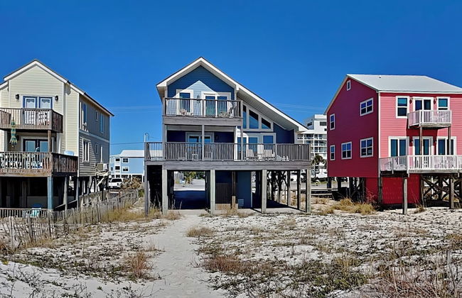 So Shell Distancing - Photo 31