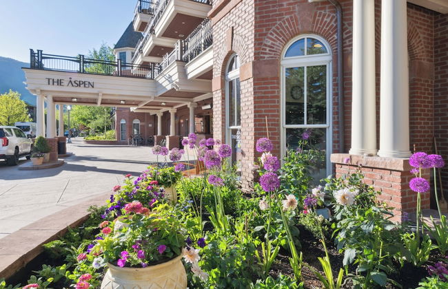 The Aspen Mountain Residences - Foto 66