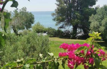 Απέραντο γαλάζιο Le grand blue - Foto 52