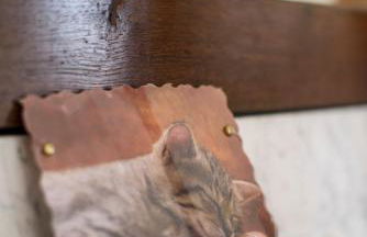 Nengshof Ferienwohnung Wildrose - Foto 71