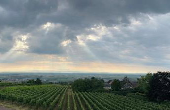 L'écrin d'Anne et Stéphane - vue sur Strasbourg - Foto 45
