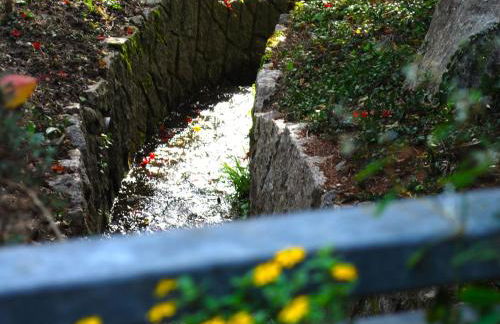 Ferienwohnung Wanderschön - Foto 36