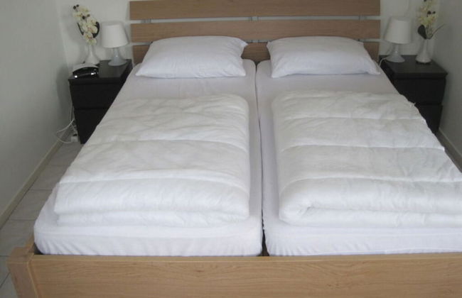 1 From Fam. Moritz Koopman - Foto 3