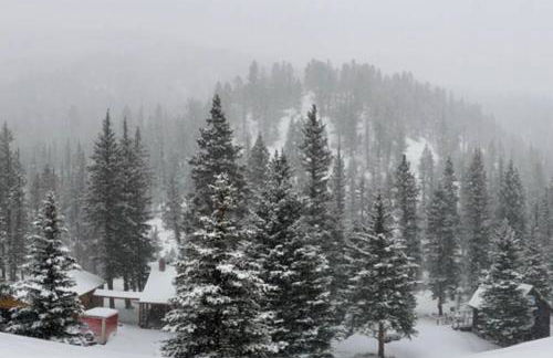 Carpe de Inn - Foto 29