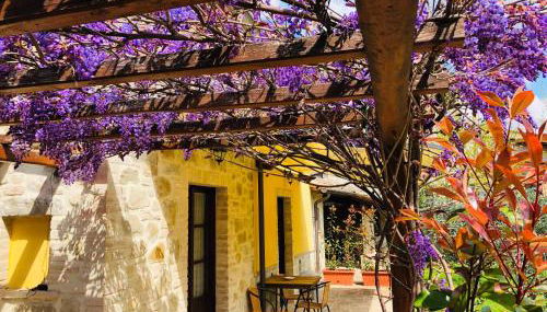 Il Cortile delle Rose Holiday House - Foto 4, Garden, Garden view