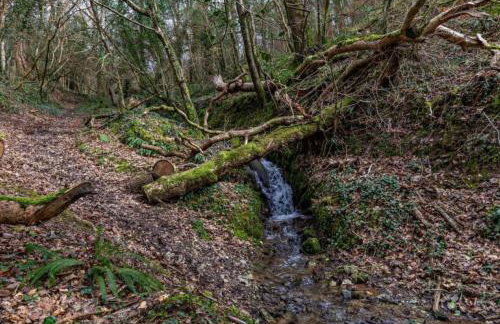 Nuthatch by Together Travel - Luxury Cornish Countryside Retreat - Foto 19