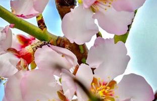 ‘Sophie’s Villa’ - Foto 21