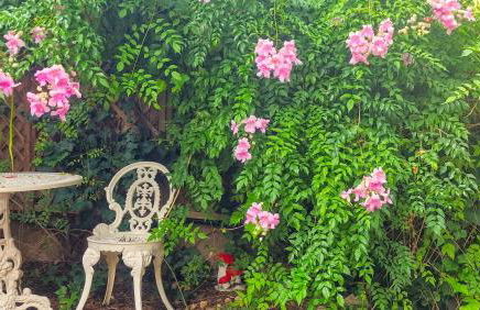 Next to the sea 20' from Barcelona - Foto 8