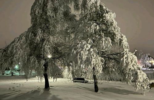 Kleine Freiheit Apartment am See - Photo 23