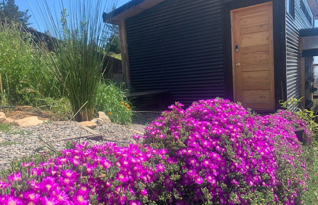 Cabañas La Ola Puertecillo - Foto 11