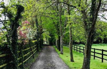 Northdown Lodge - Stunning property on the Kent Northdowns - Foto 6