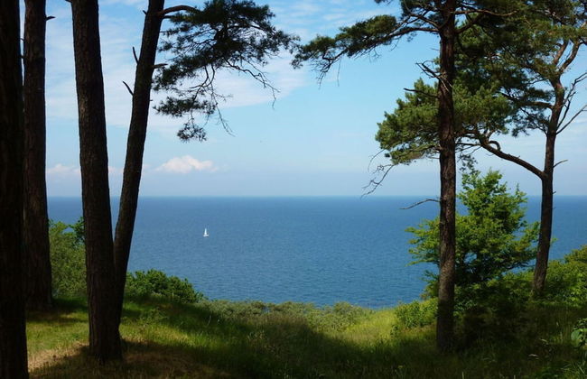 Apartment in Lancken-granitz - Foto 15