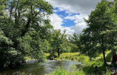 Ashdene Cottage with secure 'sun trap' garden - Foto 30