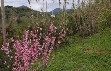 The lodge guest house - Foto 39