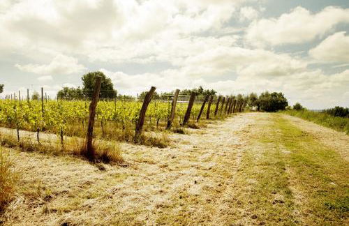 Agriturismo l'Uva e le Stelle - Foto 78