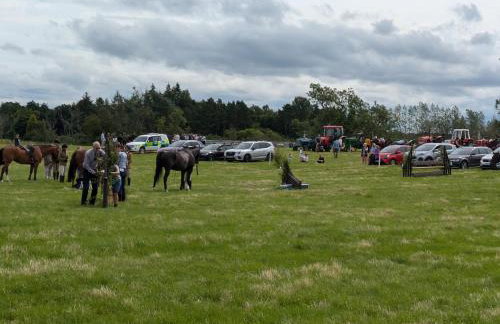 Pet Friendly - Lodge at Riverview Holiday Park - Foto 25