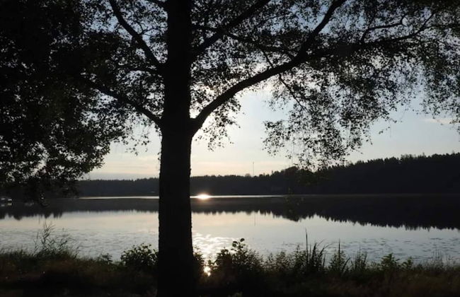 4 Person Holiday Home in Granna-by Traum - Photo 33