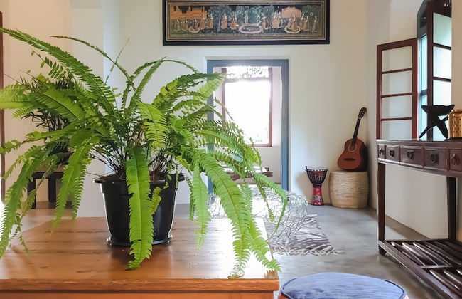 The Mugatiya - Foto 32