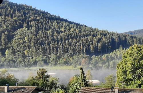 Ferienwohnung Zeitlos, gigantischer Seeblick, WLAN, gerne mit Hund - Foto 33