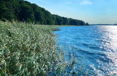 Ferienwohnung in der Uckermark am Oberuckersee OT Warnitz - Photo 17