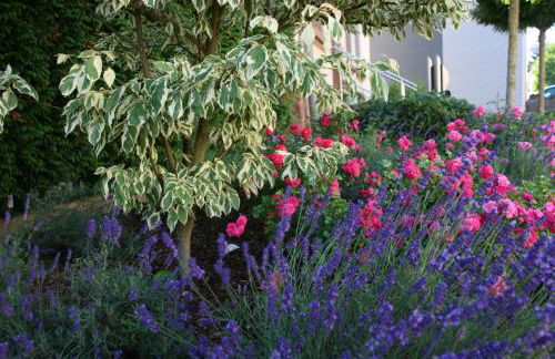 Ferienwohnung Atrium - Foto 40