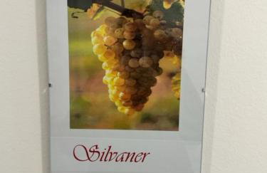 Ferien im Reblaus - Foto 11