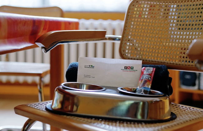 Forest Getaway in Berlin - Foto 20