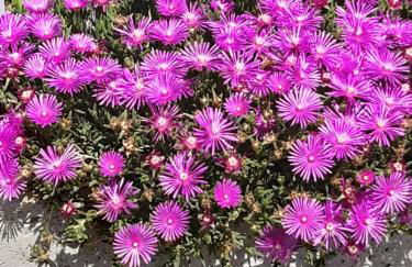 casa vacanza da ghislin - Foto 53