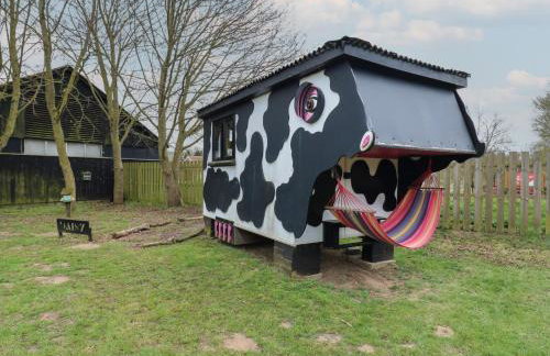 Daisy Cow Shed 1 - Foto 1