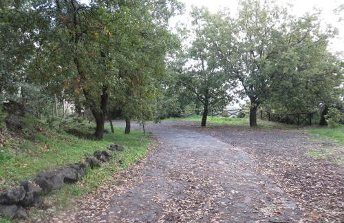 Le Case Del Merlo Turismo Rurale - Foto 45