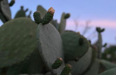 A casa di Ro - Foto 46