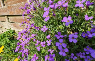 Wishbone Cottage In The Cotswolds - Foto 18