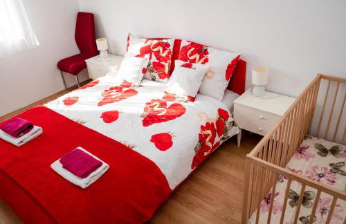 Dalmatian - Photo 39