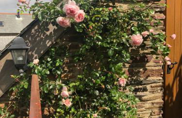 Higher Greenway Annexe - Photo 17