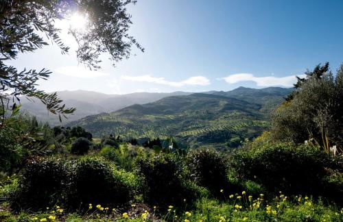 Casa Migliaca - Foto 32