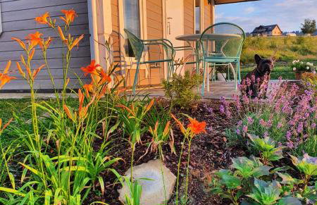 Domek Polna Cisza Bieszczady - Foto 16